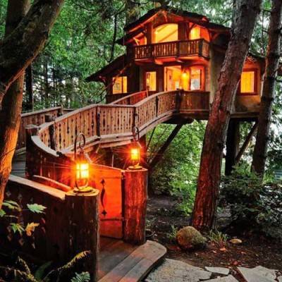  Tree House Cottage Construction services Manufacturers in Mahbubnagar